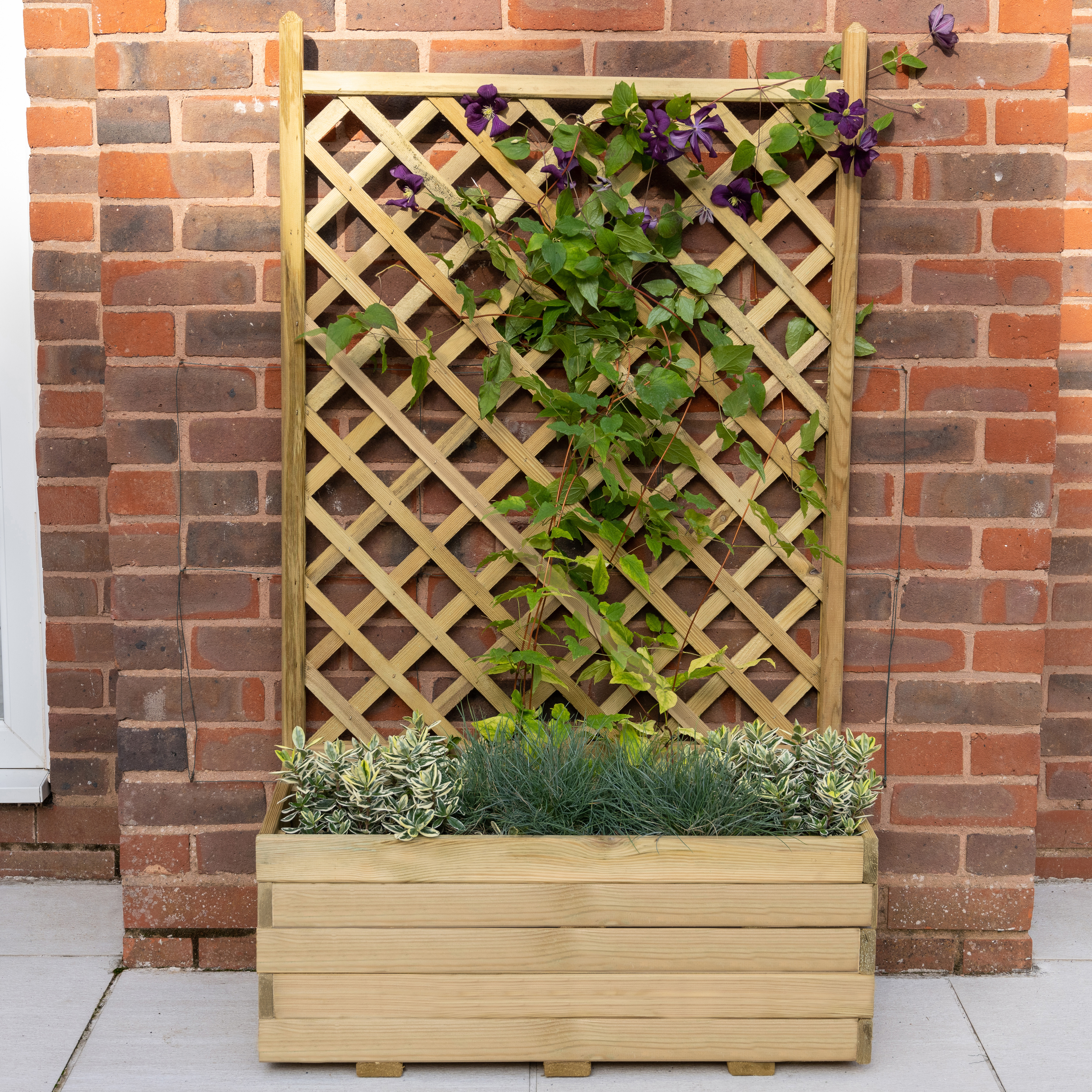 Trellis planter