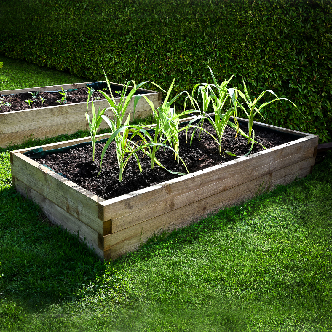 Caledonian Rectangular raised beds