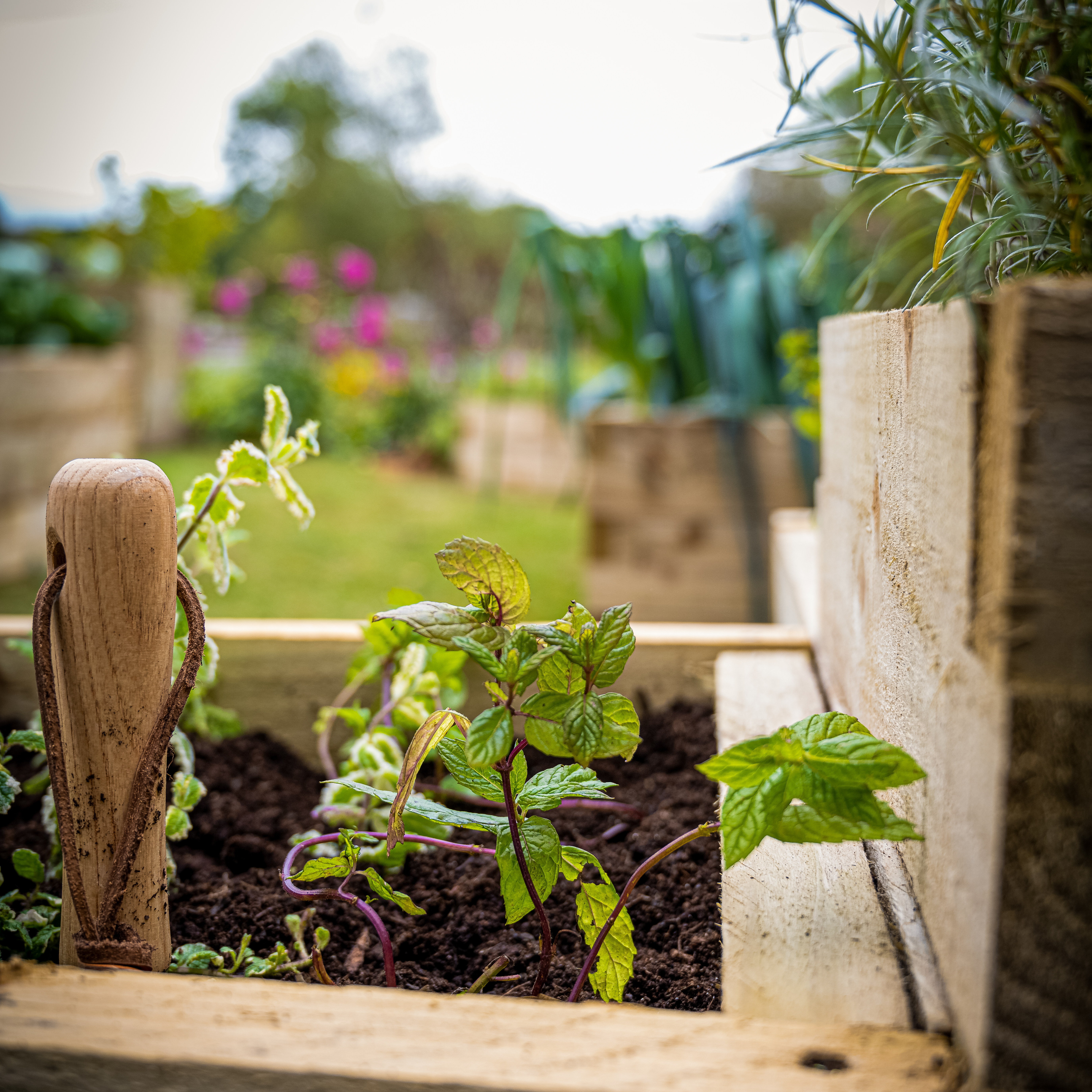 Outdoor living Caledonian Tiered Raised Bed 90 x 90