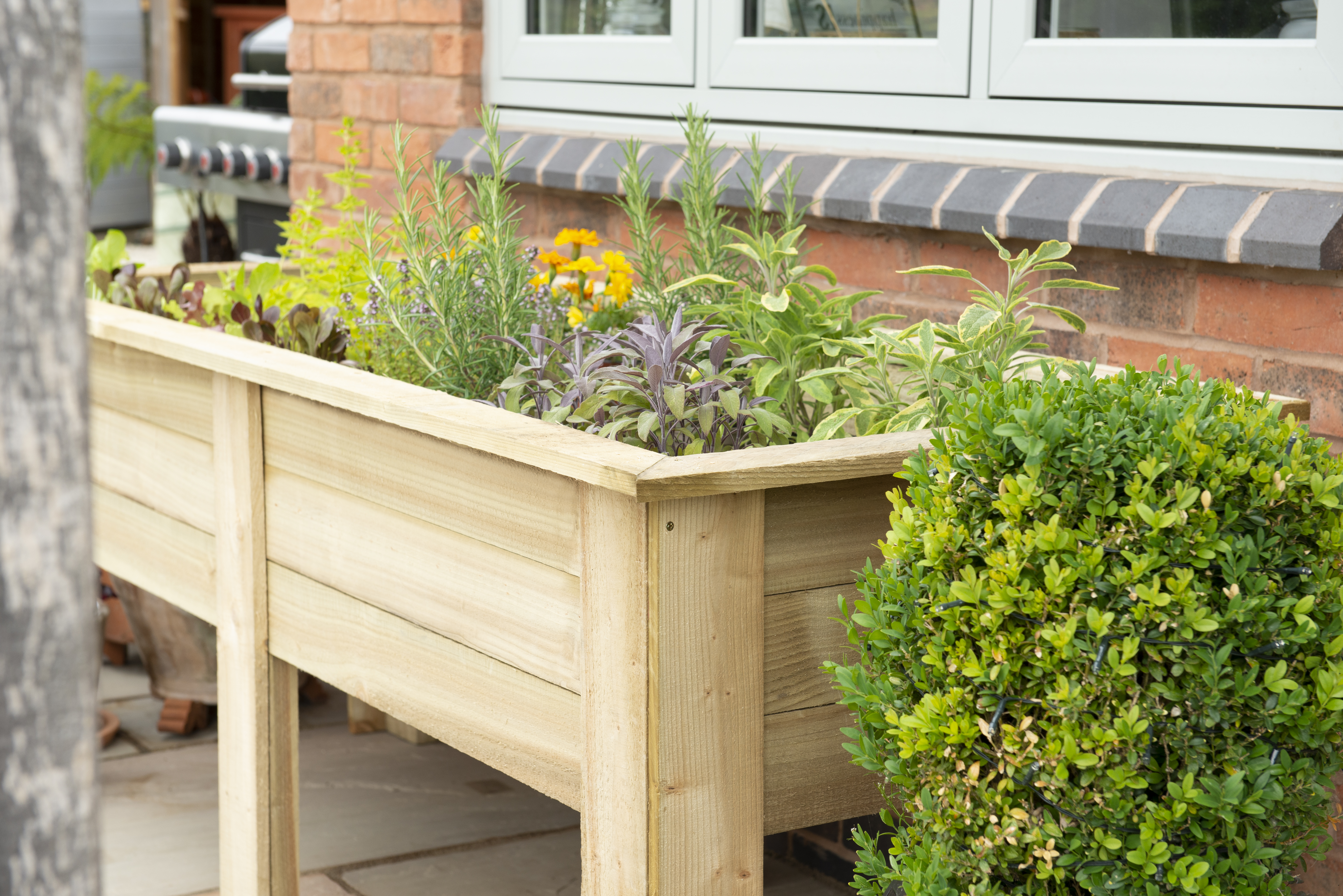 Forest garden Large kitchen Garden planter 1.8m